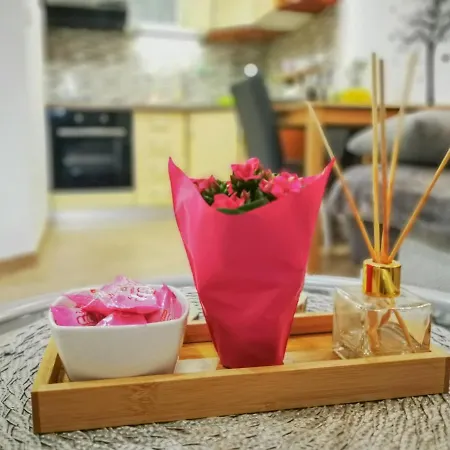 Magnolija 公寓 *